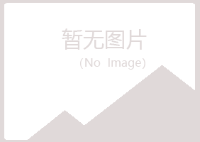 日照东港夏槐能源有限公司